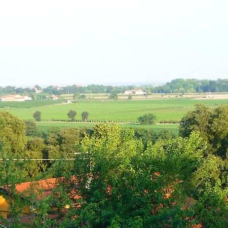 Agriturismo Lupo Bianco Monzambano Kültér fotó