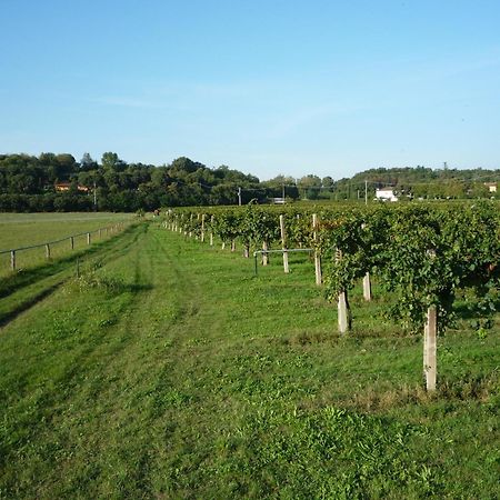 Agriturismo Lupo Bianco Monzambano Kültér fotó