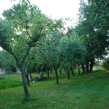 Agriturismo Lupo Bianco Monzambano Kültér fotó