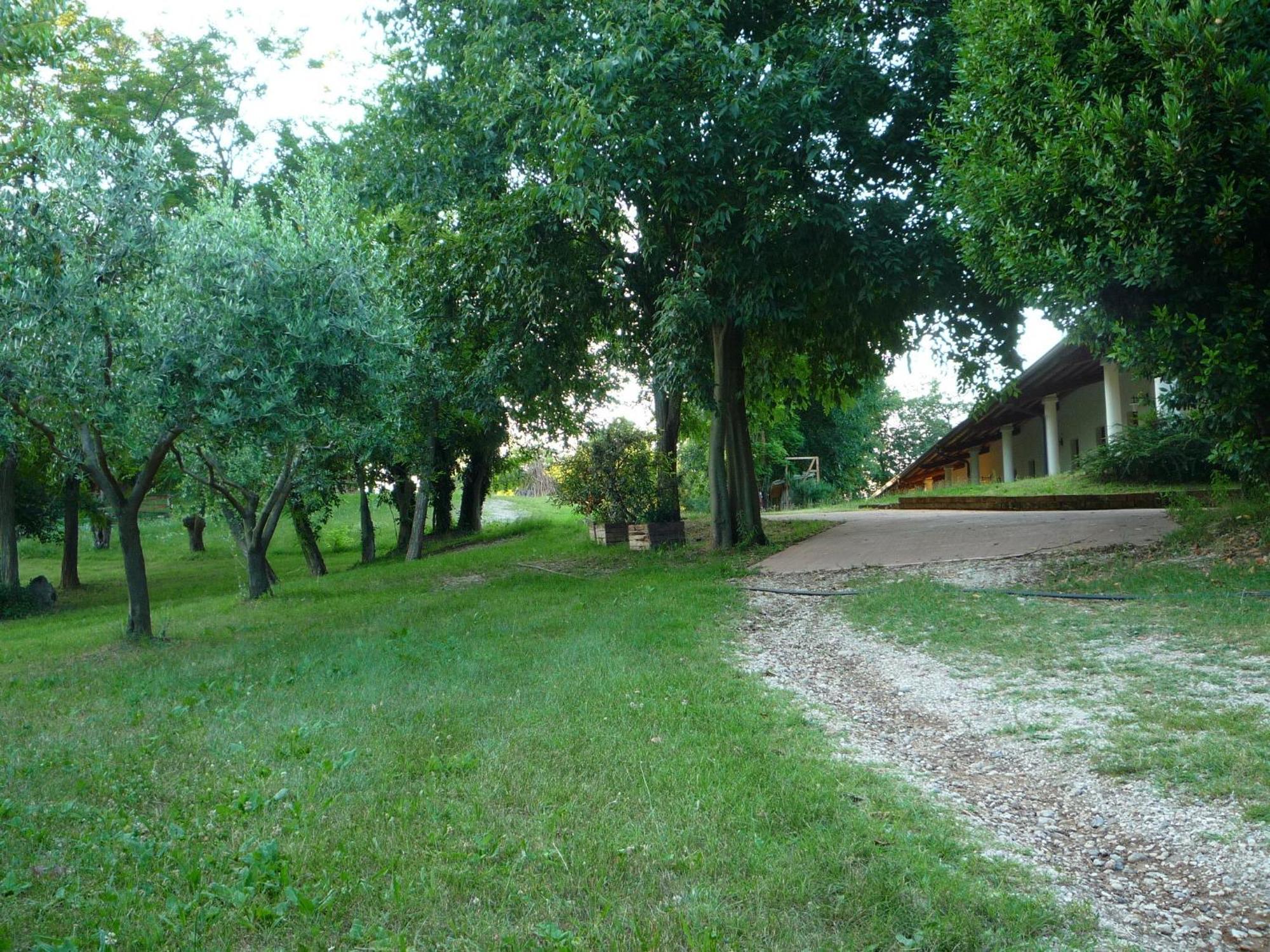 Agriturismo Lupo Bianco Monzambano Kültér fotó