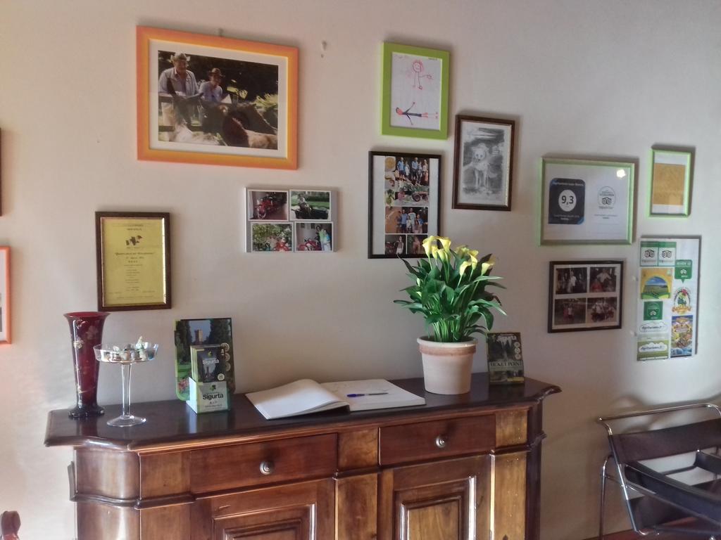 Agriturismo Lupo Bianco Monzambano Kültér fotó