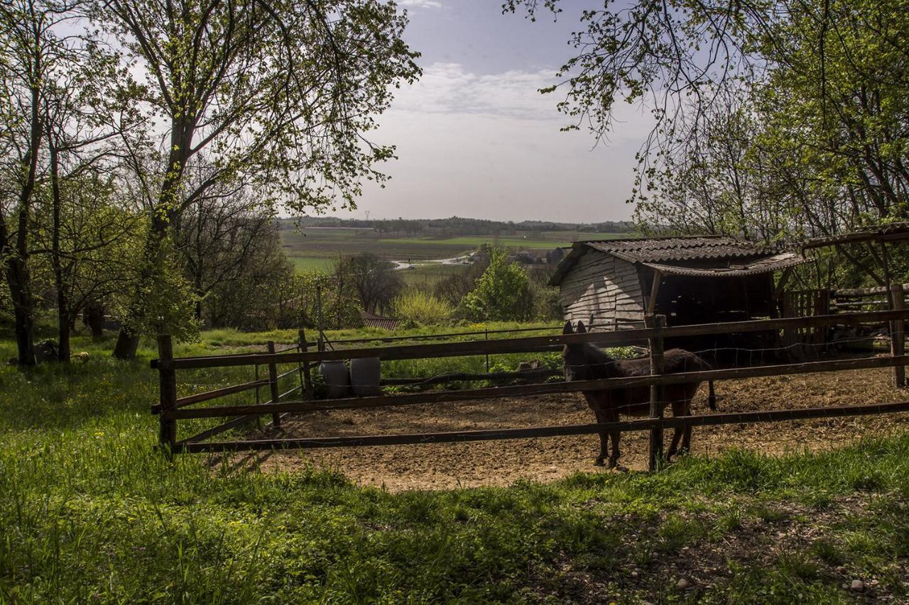 Agriturismo Lupo Bianco Monzambano Kültér fotó